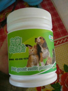 印尼巴士模拟器国产车辆模组 